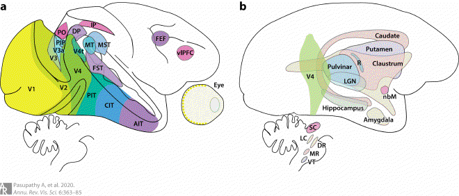 Fig1