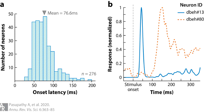 Fig2