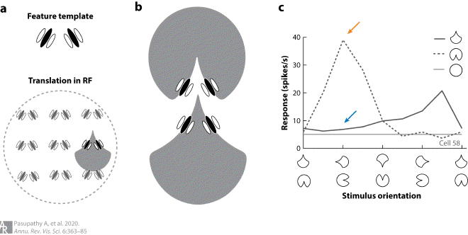 Fig4