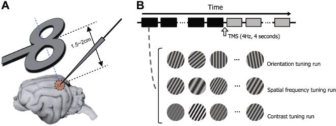Fig1