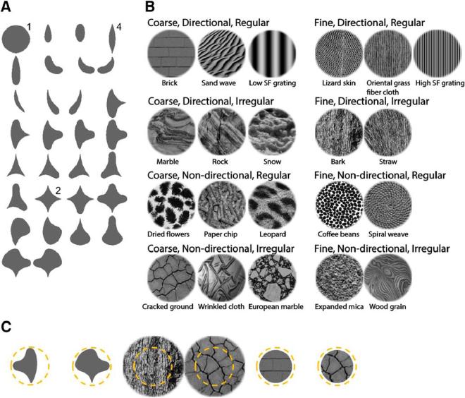 Fig1