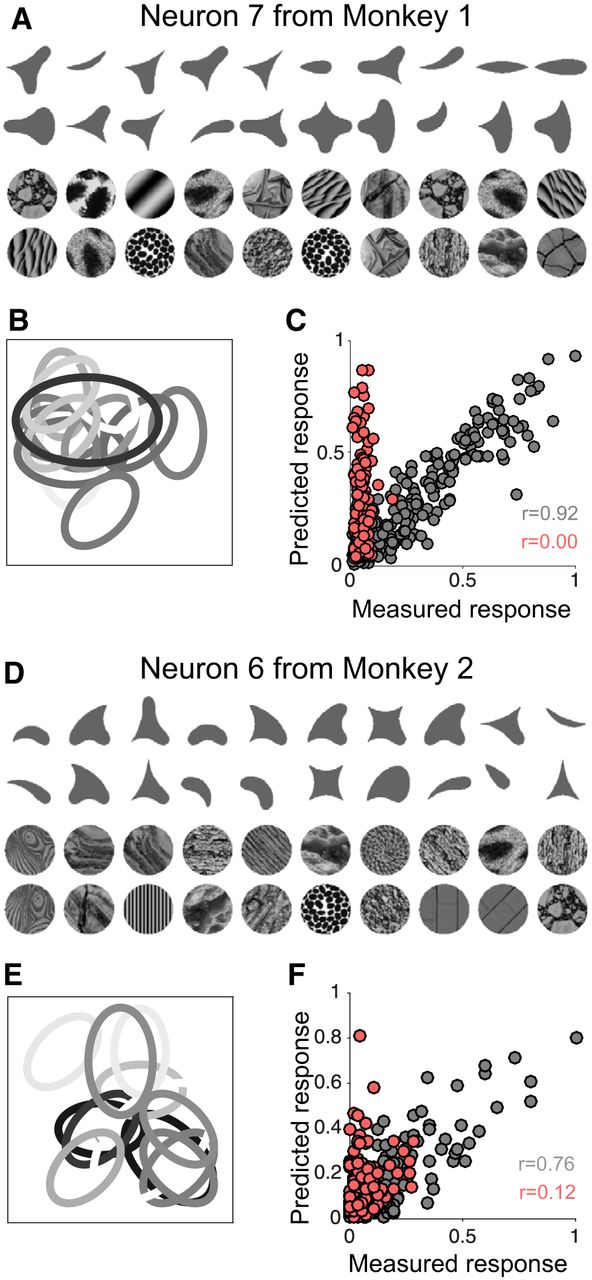 Fig3