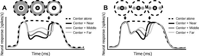 Fig7