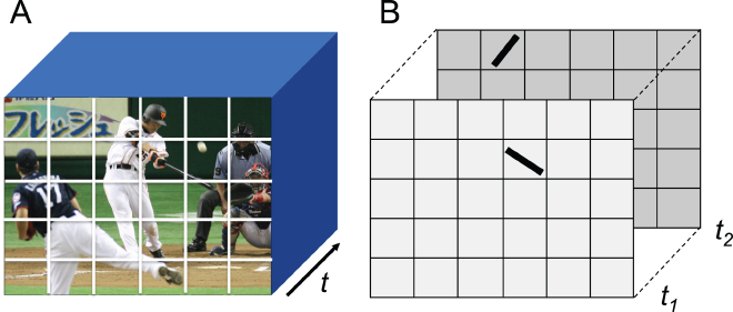 Fig1
