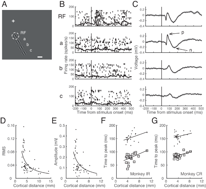 Fig2
